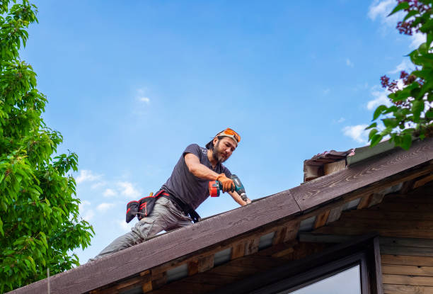 Best Roof Ventilation Installation  in Pottsville, AR